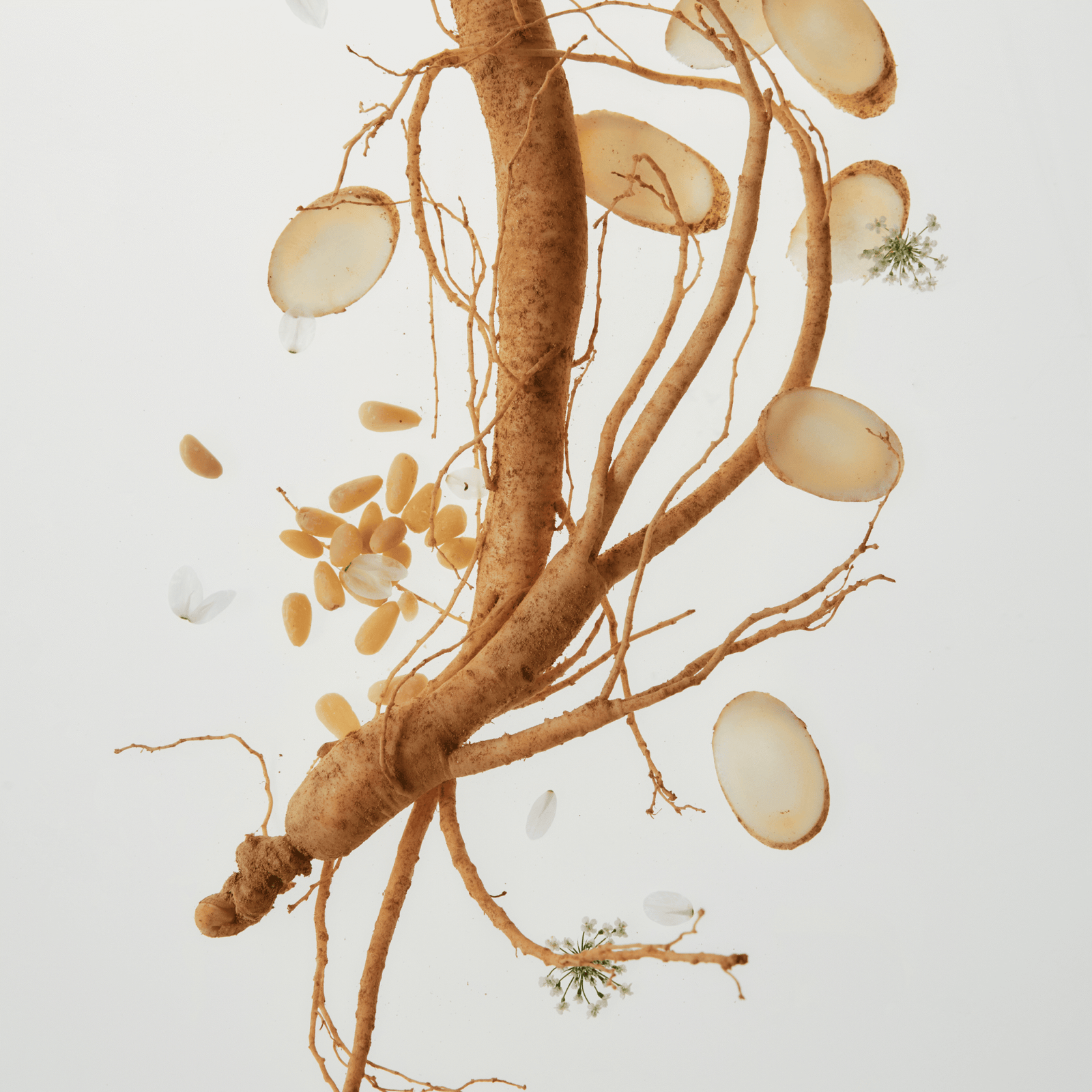 Beauty of Joseon-Sérum revitalisant : Ginseng + Snail Mucin (30ml) – Image 17